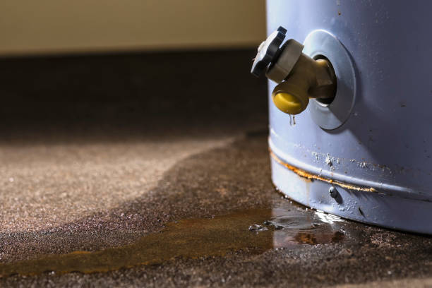 Best Flood restoration services  in Gridley, CA