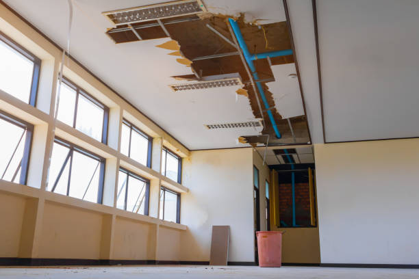 Best Professional water damage repair  in Gridley, CA