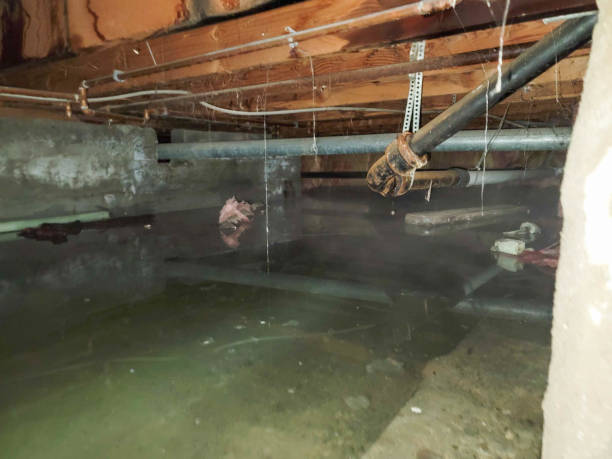 Best Sewage cleanup and water damage restoration  in Gridley, CA