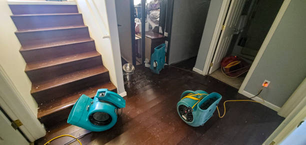 Best 24-hour water damage restoration  in Gridley, CA