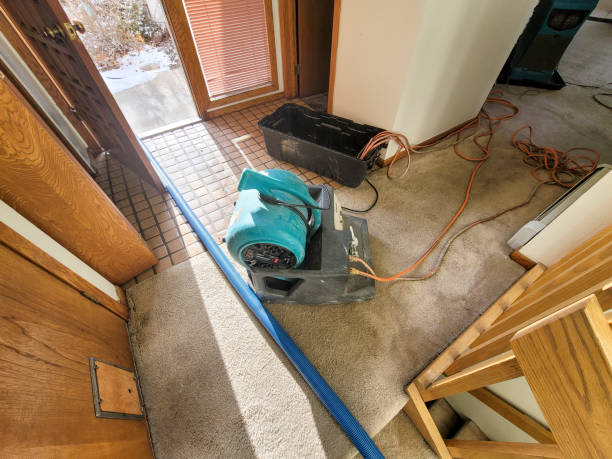 Best Water damage restoration insurance claims  in Gridley, CA