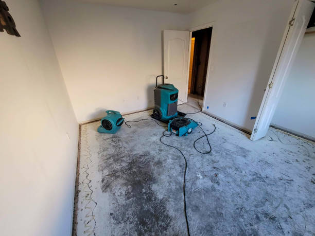 Best Commercial water damage restoration  in Gridley, CA
