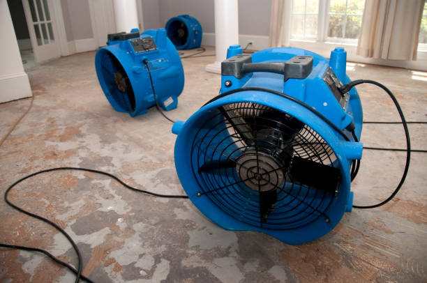 Best Local water damage restoration  in Gridley, CA