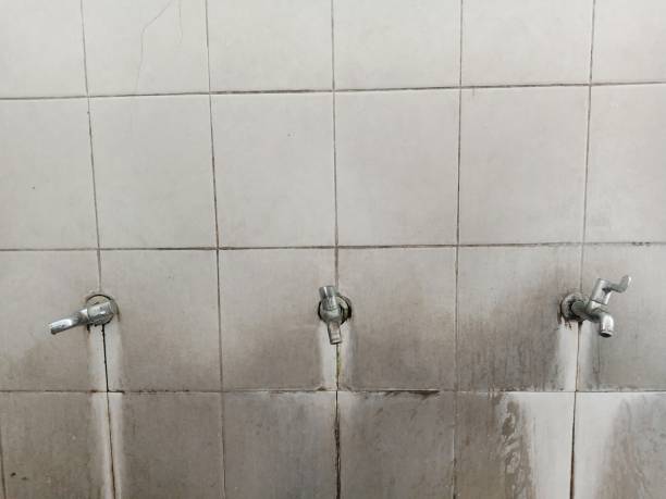 Best Emergency water damage restoration  in Gridley, CA