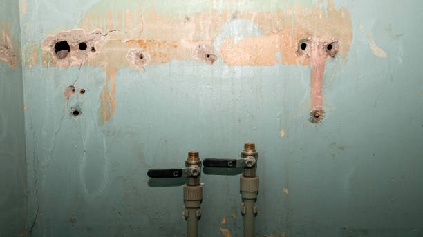 Best Flooded house restoration  in Gridley, CA