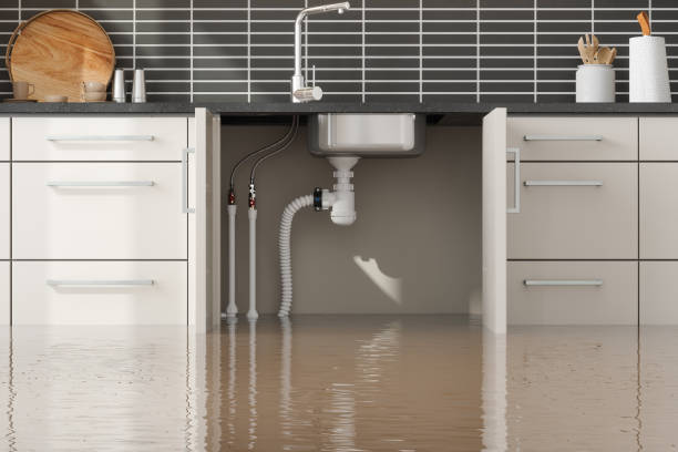 Best Water damage restoration mold remediation  in Gridley, CA
