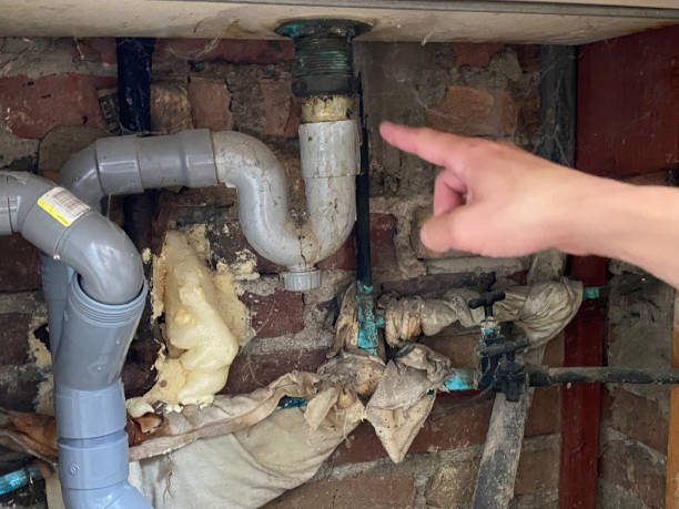 Best Water damage restoration specialists  in Gridley, CA